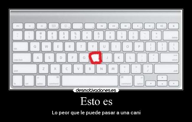 carteles hdesaparecercanipasartecladoraul43 desmotivaciones