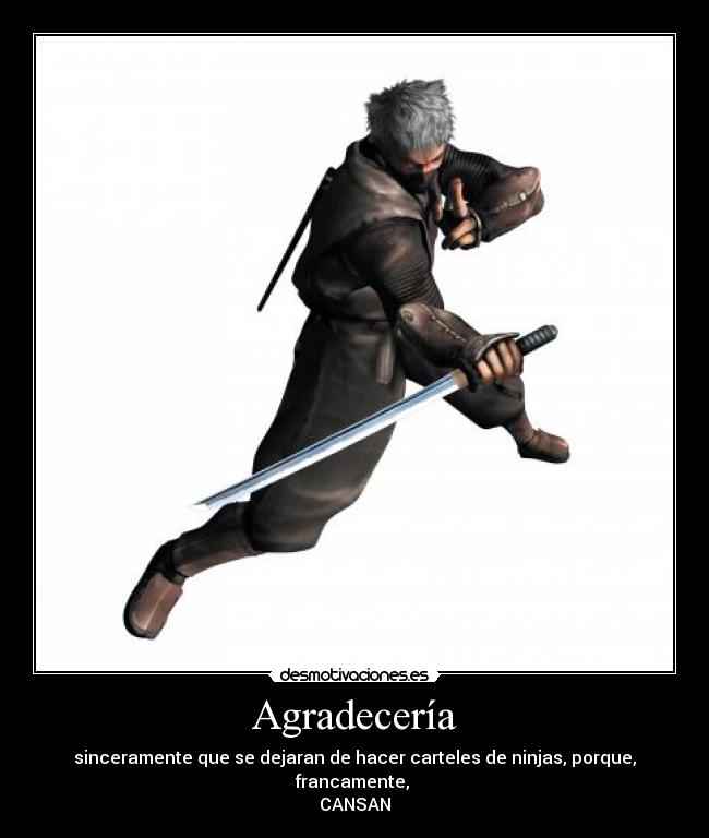 Agradecería - sinceramente que se dejaran de hacer carteles de ninjas, porque, francamente, 
CANSAN