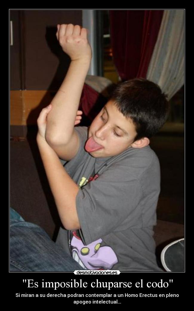 Es imposible chuparse el codo - Si miran a su derecha podran contemplar a un Homo Erectus en pleno
apogeo intelectual...