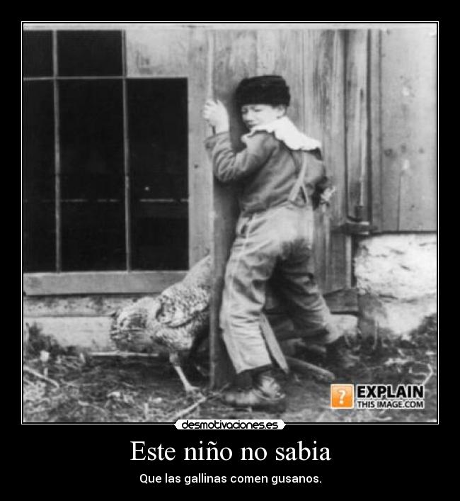 Este niño no sabia - Que las gallinas comen gusanos.