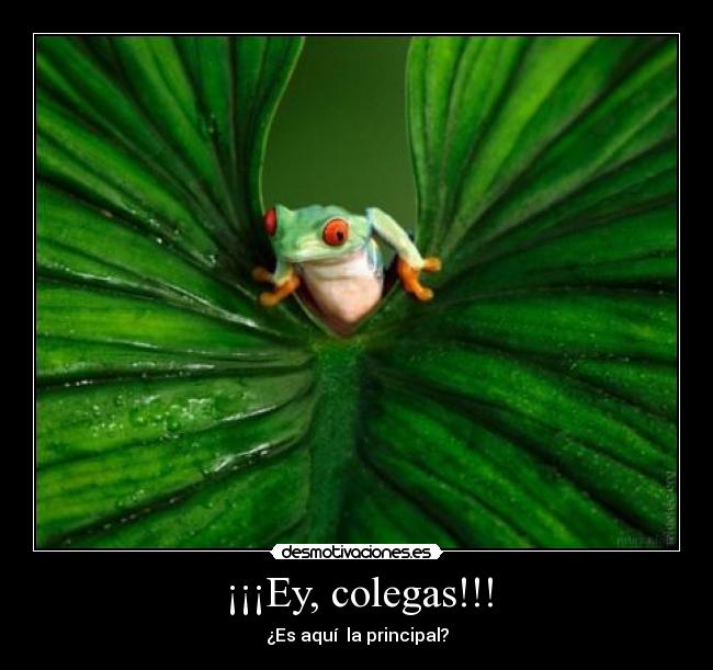 ¡¡¡Ey, colegas!!! - 