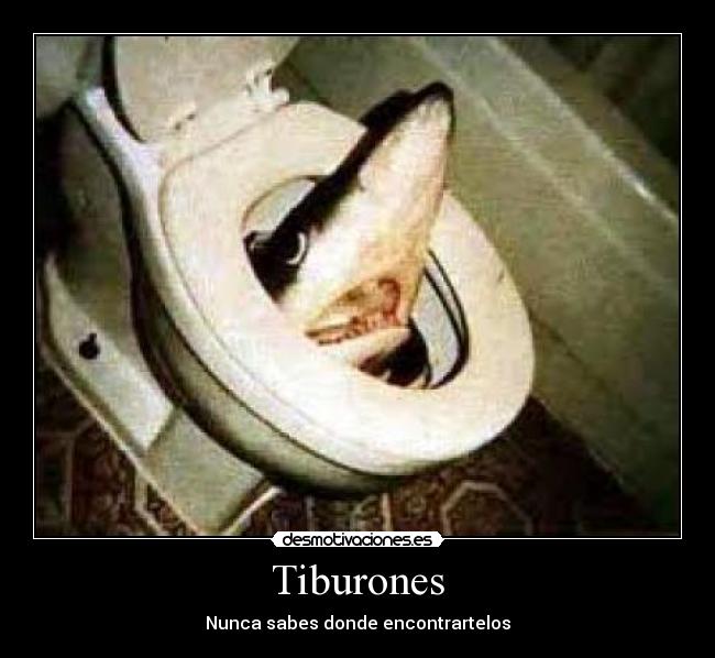 Tiburones - Nunca sabes donde encontrartelos