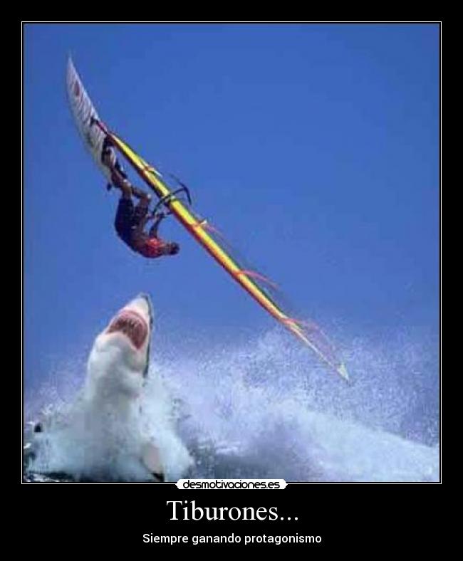 carteles tiburonescookietiburonaguamar desmotivaciones