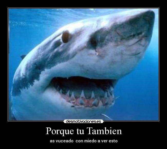 carteles miedo desmotivaciones