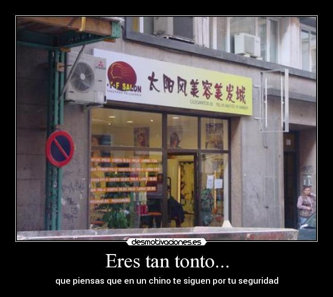 Eres tan tonto... - que piensas que en un chino te siguen por tu seguridad