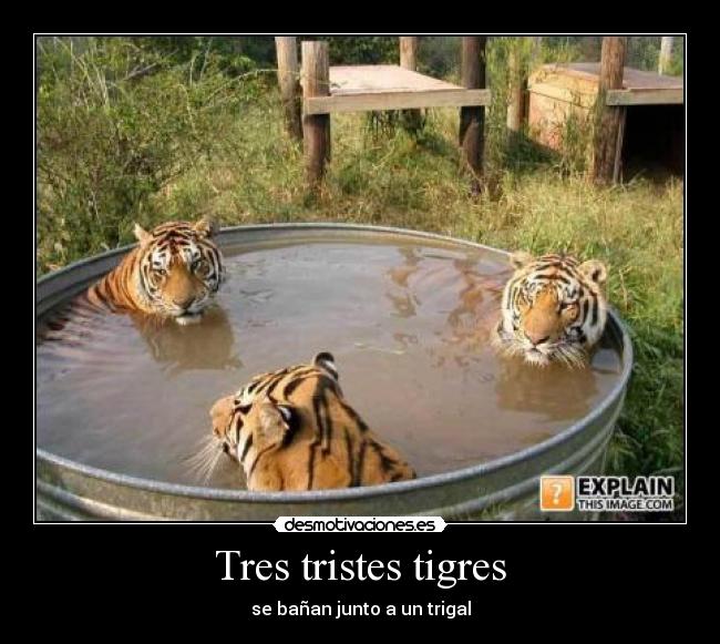 Tres tristes tigres - 