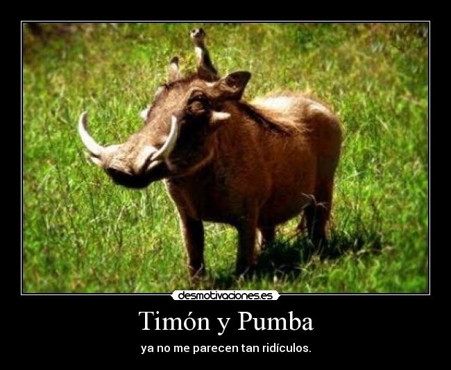 Timón y Pumba - ya no me parecen tan ridículos.