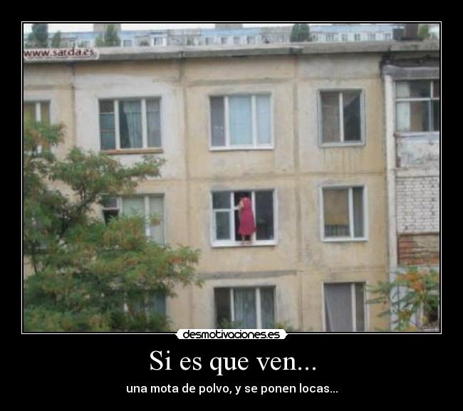 Si es que ven... - una mota de polvo, y se ponen locas...