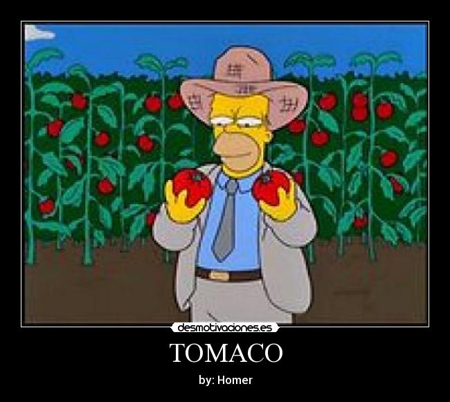 TOMACO - by: Homer