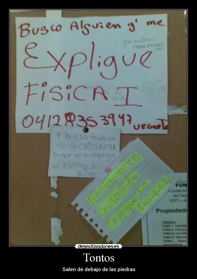 Tontos - Salen de debajo de las piedras