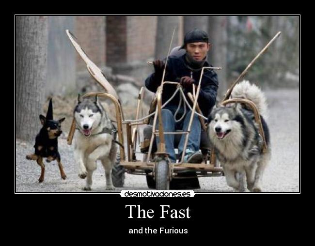 The Fast - and the Furious