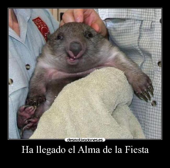 Ha llegado el Alma de la Fiesta -