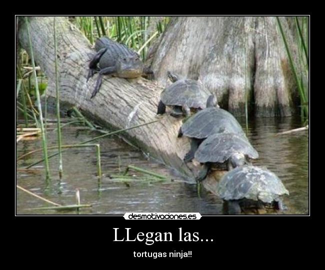 carteles tortugas ninja desmotivaciones