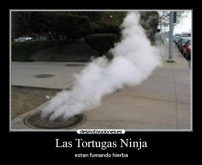 Las Tortugas Ninja -