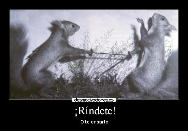 carteles animalitos desmotivaciones