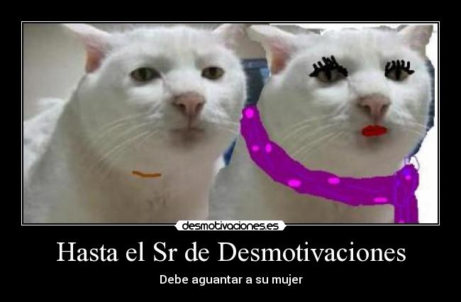 Hasta el Sr de Desmotivaciones - Debe aguantar a su mujer