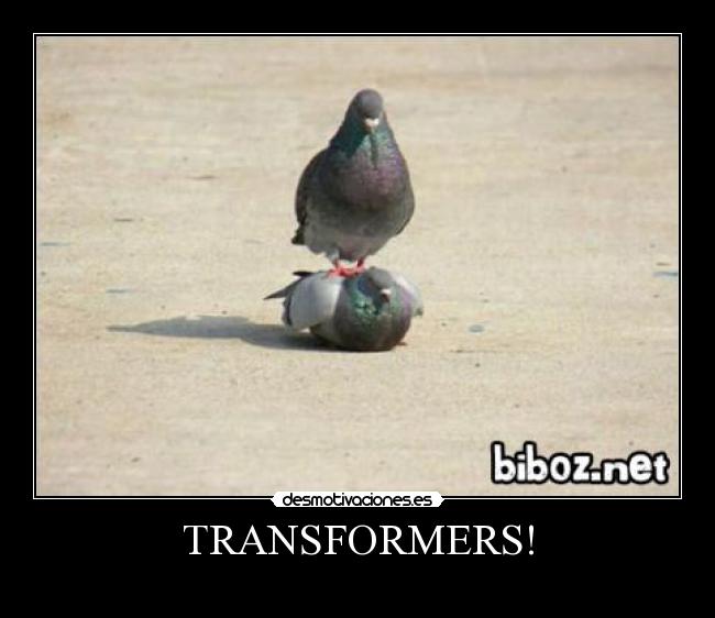 TRANSFORMERS! -