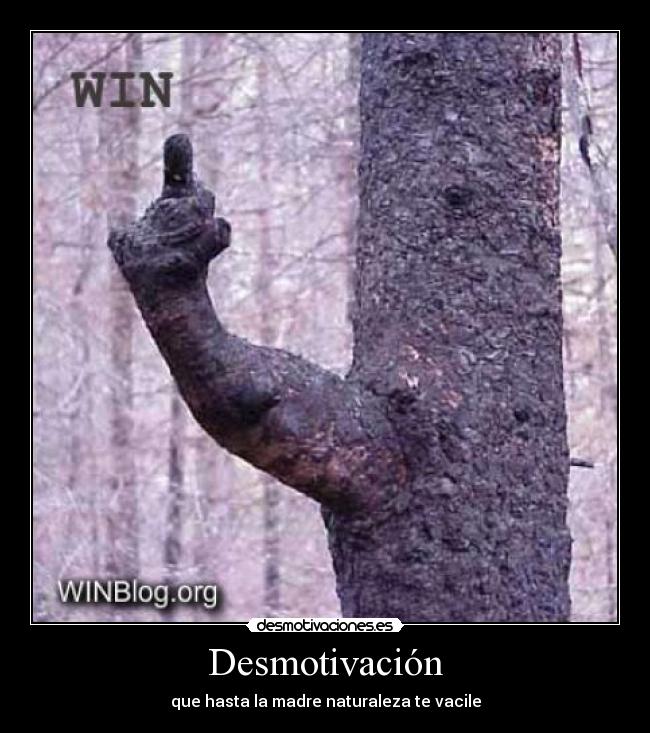 Desmotivación - que hasta la madre naturaleza te vacile