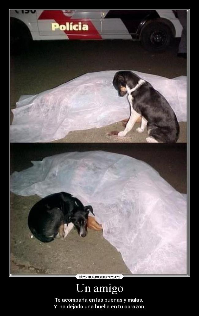 Un amigo - Te acompaña en las buenas y malas. 
Y  ha dejado una huella en tu corazón.