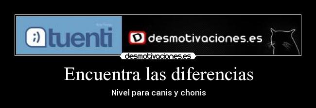 Encuentra las diferencias - Nivel para canis y chonis