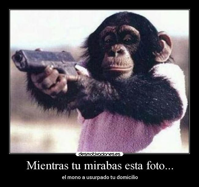 carteles muerete johnos desmotivaciones