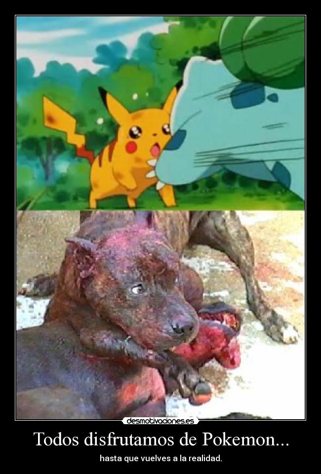 Todos disfrutamos de Pokemon... - hasta que vuelves a la realidad.
