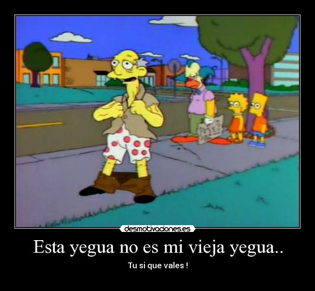 Esta yegua no es mi vieja yegua.. - Tu si que vales !