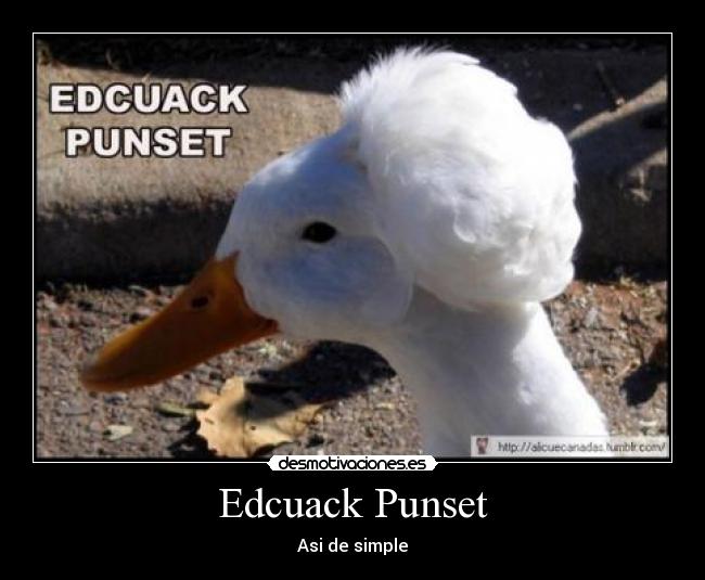 Edcuack Punset - 