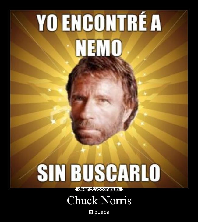 carteles nemo buscando dori chuck chucknorris chuck norris fail owned win desmotivaciones