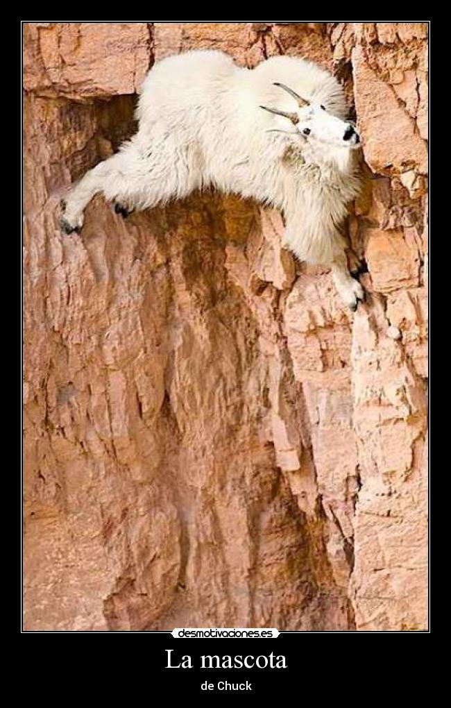La mascota - 