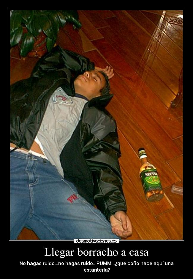 carteles casa llegar borracho casano hagas ruidono hagas ruidopummque cono hace aqui una estanteri desmotivaciones