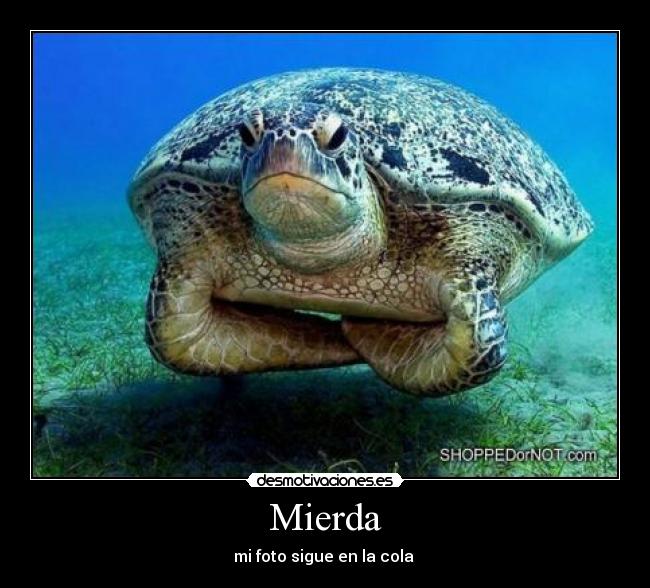 carteles miedo desmotivaciones