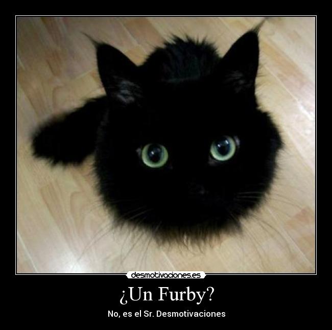 ¿Un Furby? -
