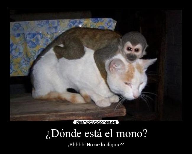 ¿Dónde está el mono? - 