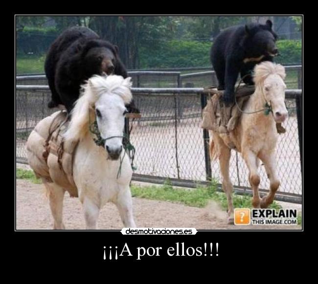 carteles kikex92 desmotivaciones