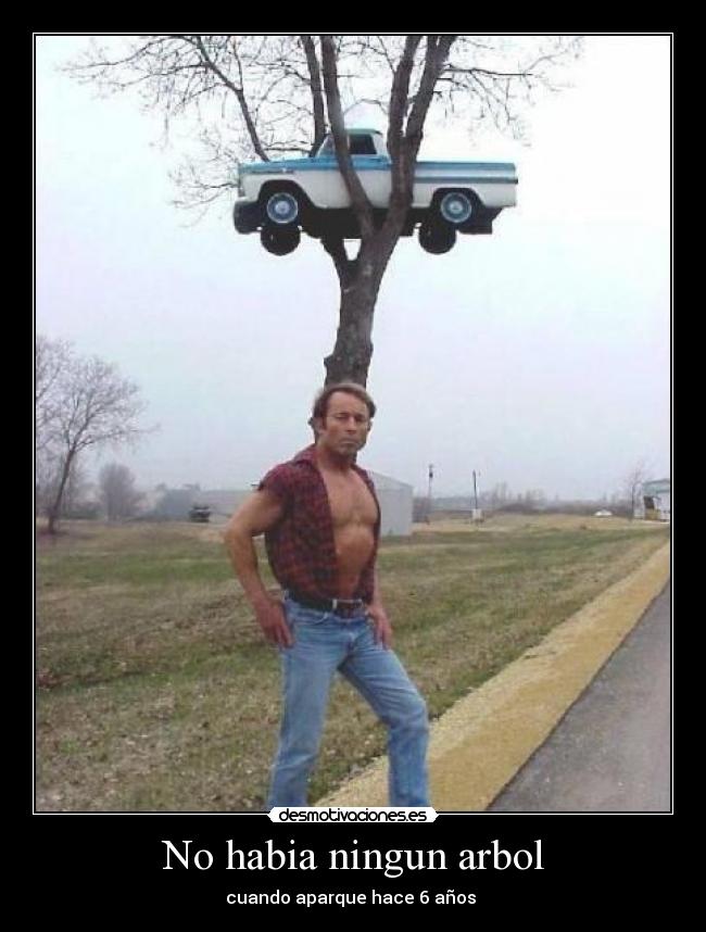 No habia ningun arbol -