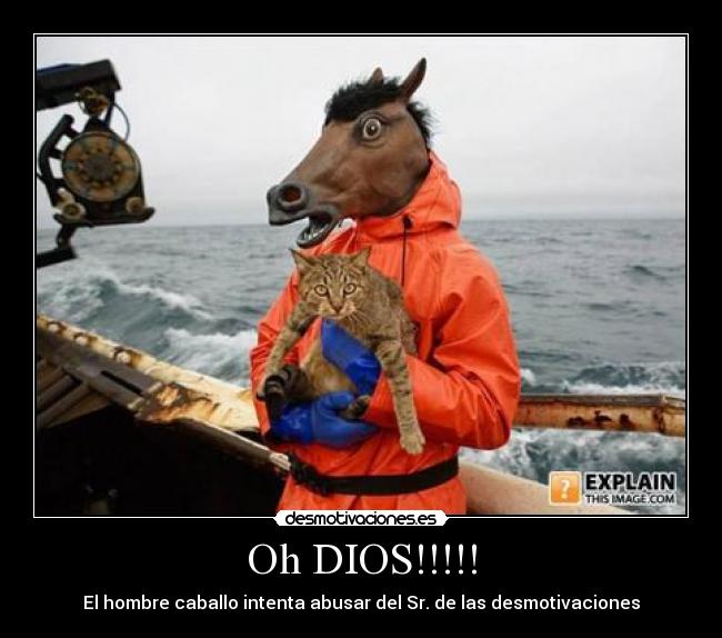 carteles dios caballo gato desmotivaciones