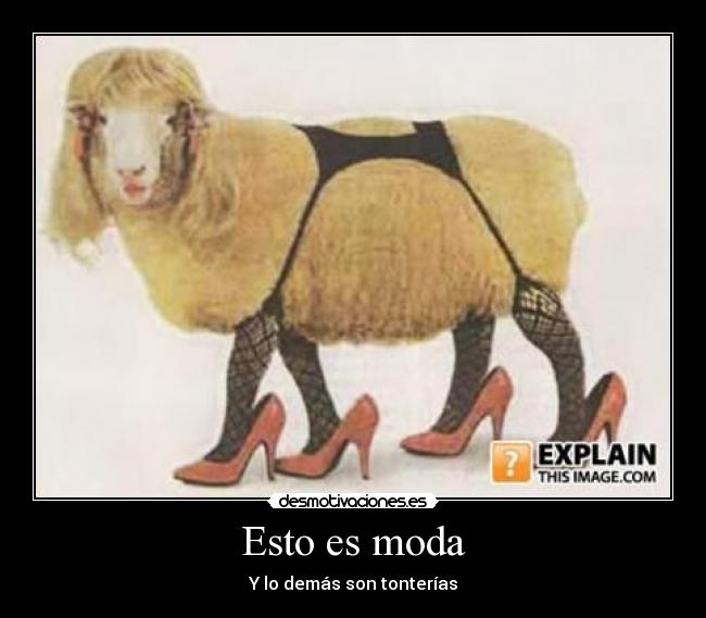 Esto es moda - Y lo demás son tonterías