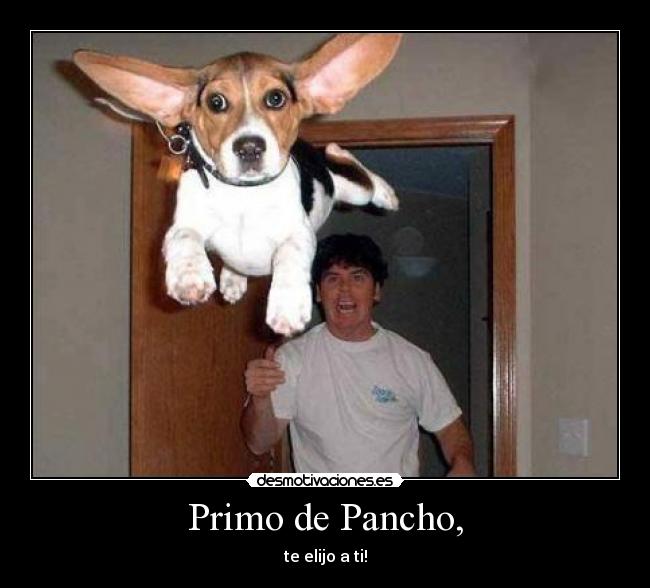Primo de Pancho, - 
