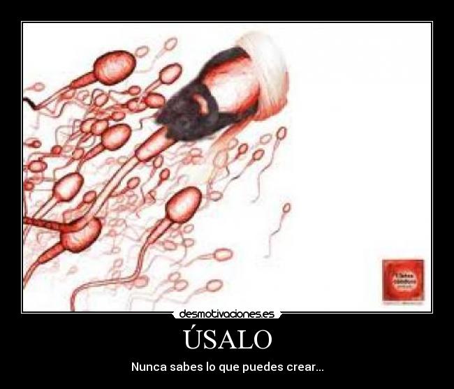 ÚSALO - 