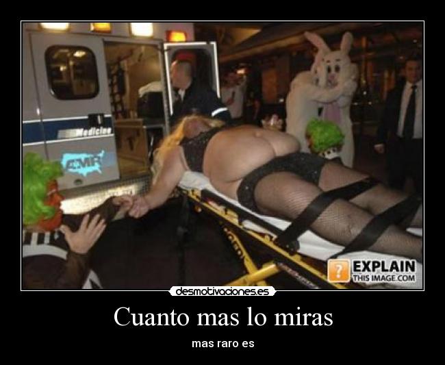 carteles wdf desmotivaciones