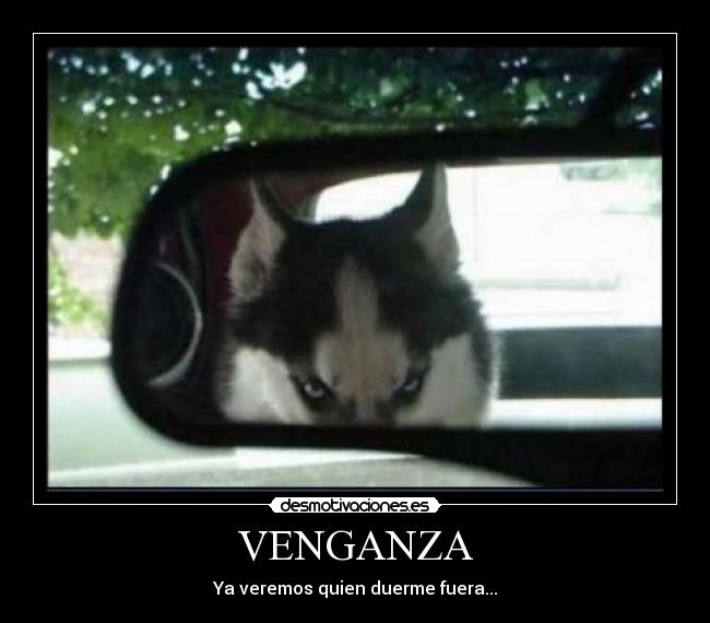 VENGANZA -