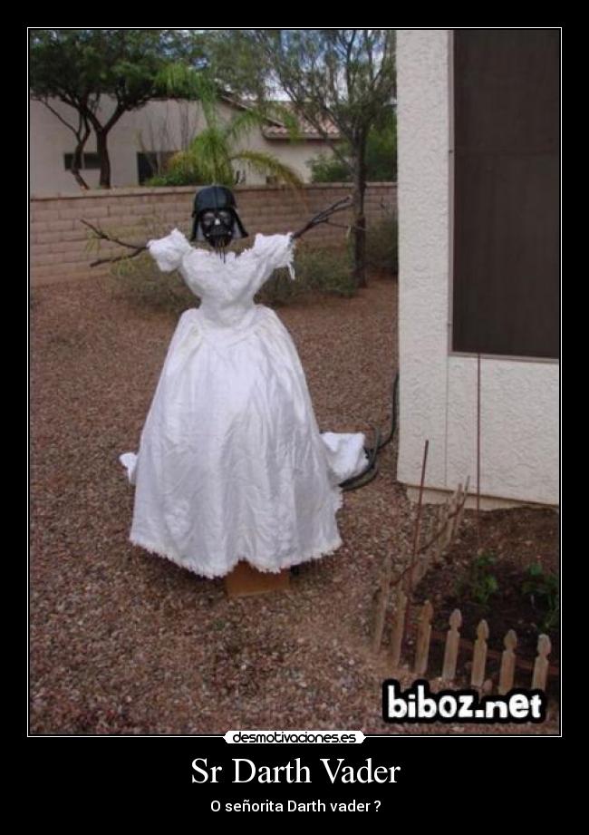 Sr Darth Vader - O señorita Darth vader ?