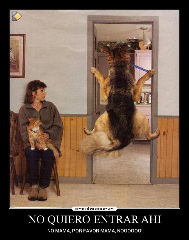 NO QUIERO ENTRAR AHI - NO MAMA, POR FAVOR MAMA, NOOOOOO!