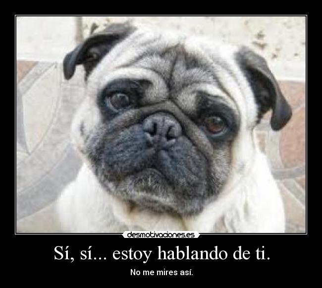 Sí, sí... estoy hablando de ti. - 