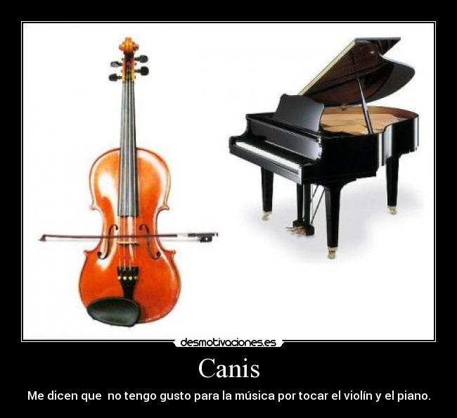 Canis - Me dicen que  no tengo gusto para la música por tocar el violín y el piano.