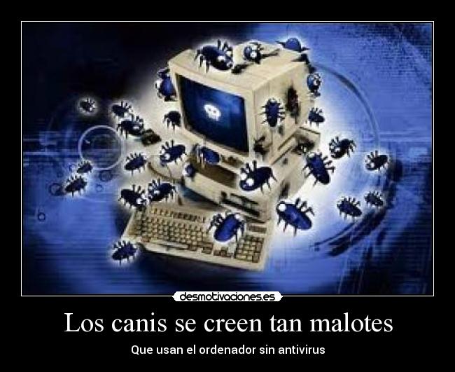 Los canis se creen tan malotes - 