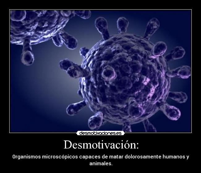 carteles desmotivacion desmotivaciones