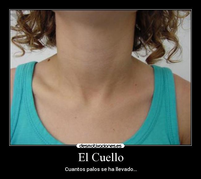 carteles palos humor desmotivaciones