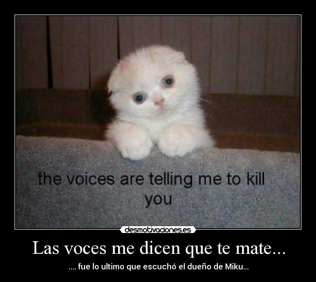 Las voces me dicen que te mate... - .... fue lo ultimo que escuchó el dueño de Miku...